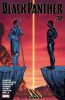 Black Panther (6th series) #12 - Black Panther (6th series) #12