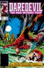 Daredevil (1st series) #222 - Daredevil (1st series) #222