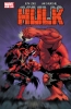 Hulk (2nd series) #17 - Hulk (2nd series) #17