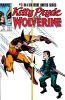 Kitty Pryde & Wolverine #3 - Kitty Pryde & Wolverine #3
