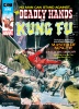 Deadly Hands of Kung Fu (1st series) #2 - Deadly Hands of Kung Fu (1st series) #2