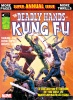 Deadly Hands of Kung Fu (1st series) #15 - Deadly Hands of Kung Fu (1st series) #15