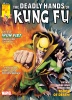 Deadly Hands of Kung Fu (1st series) #19 - Deadly Hands of Kung Fu (1st series) #19