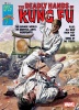 Deadly Hands of Kung Fu (1st series) #21 - Deadly Hands of Kung Fu (1st series) #21