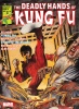Deadly Hands of Kung Fu (1st series) #26 - Deadly Hands of Kung Fu (1st series) #26