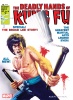 Deadly Hands of Kung Fu (1st series) #28 - Deadly Hands of Kung Fu (1st series) #28