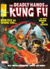 Deadly Hands of Kung Fu (1st series) #29 - Deadly Hands of Kung Fu (1st series) #29