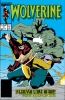 Wolverine (2nd series) #14