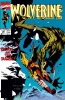 Wolverine (2nd series) #34 - Wolverine (2nd series) #34
