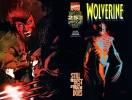 [title] - Wolverine (2nd series) #145 (Bill Sienkiewicz variant)
