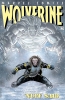 Wolverine (2nd series) #171