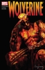 [title] - Wolverine (3rd series) #61