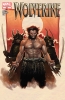 [title] - Wolverine (4th series) #301