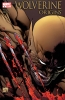 Wolverine: Origins #9 - Wolverine: Origins #9