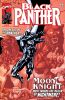 Black Panther (3rd series) #22 - Black Panther (3rd series) #22