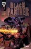 Black Panther (4th series) #9 - Black Panther (4th series) #9