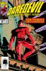 Daredevil (1st series) #304 - Daredevil (1st series) #304