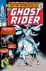 Ghost Rider (1st series) #1 - Ghost Rider (1st series) #1