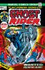 Ghost Rider (2nd series) #1 - Ghost Rider (2nd series) #1