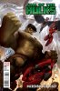 [title] - Incredible Hulk (1st series) #607 (Variant)