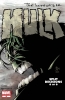 Incredible Hulk (3rd series) #65 - Incredible Hulk (3rd series) #65