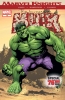 Incredible Hulk (3rd series) #75 - Incredible Hulk (3rd series) #75