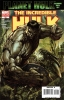 [title] - Incredible Hulk (3rd series) #100 (Michael Turner Grey variant)