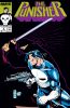 [title] - Punisher (2nd series) #9