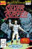 Silver Surfer Annual (1st series) #2 - Silver Surfer Annual (1st series) #2