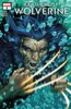 [title] - Return of Wolverine #2