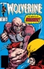 Wolverine (2nd series) #18 - Wolverine (2nd series) #18
