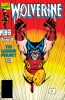 Wolverine (2nd series) #27 - Wolverine (2nd series) #27