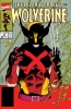 Wolverine (2nd series) #29