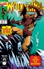 Wolverine (2nd series) #44 - Wolverine (2nd series) #44