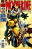[title] - Wolverine (2nd series) #114 (Adam Kubert variant)