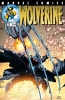 Wolverine (2nd series) #163