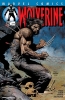 Wolverine (2nd series) #173