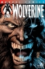 Wolverine (2nd series) #174