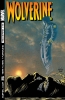 Wolverine (2nd series) #176