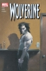 Wolverine (2nd series) #181