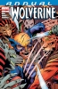 Wolverine Annual (3rd series) #1