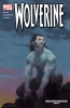 Wolverine (3rd series) #4 - Wolverine (3rd series) #4