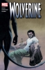 Wolverine (3rd series) #6 - Wolverine (3rd series) #6