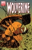 Wolverine (3rd series) #41 - Wolverine (3rd series) #41