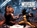 Wolverine (3rd series) #50 - Wolverine (3rd series) #50