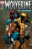 [title] - Wolverine (3rd series) #62