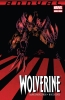 Wolverine Annual (1st series) #2 - Wolverine Annual (1st series) #2