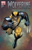 Wolverine (4th series) #302