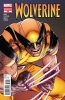 [title] - Wolverine (4th series) #305 (Steve McNiven variant)